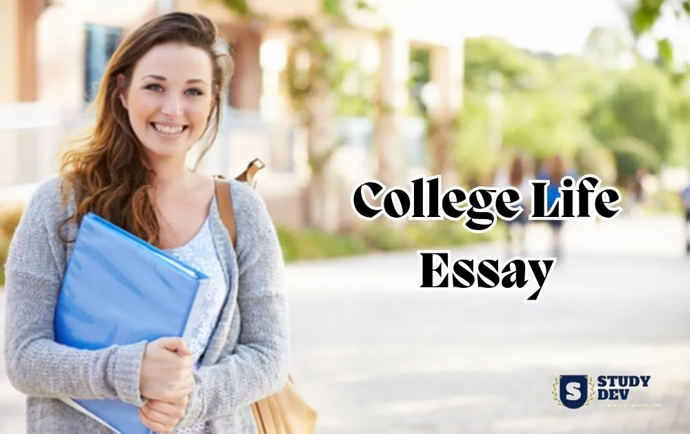 college life essay in simple words in english