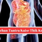 pachan-tantra-kaise-thik-kare