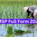 msp-full-form