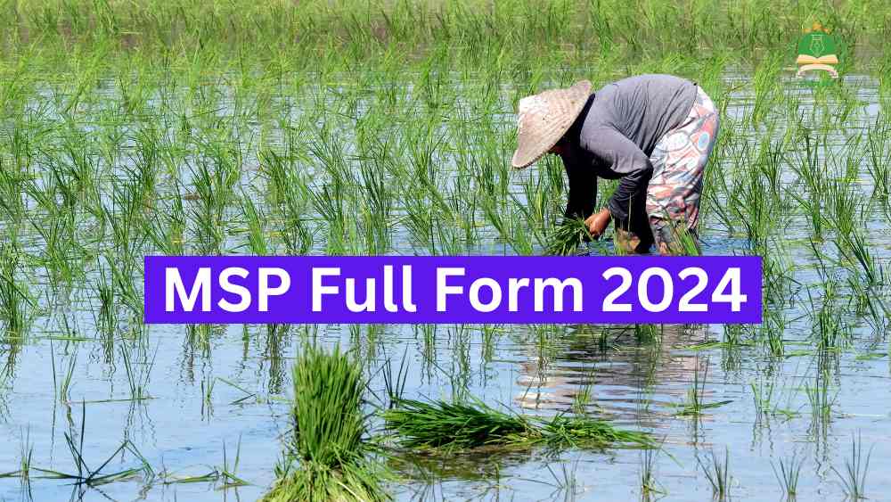 msp-full-form